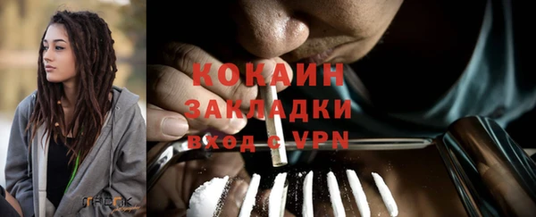 ПСИЛОЦИБИНОВЫЕ ГРИБЫ Арсеньев