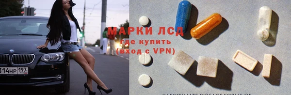 ПСИЛОЦИБИНОВЫЕ ГРИБЫ Арсеньев