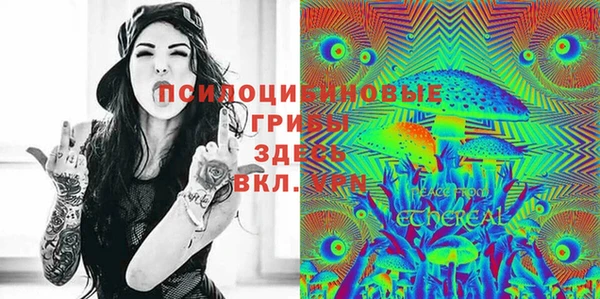 а пвп мука Аркадак